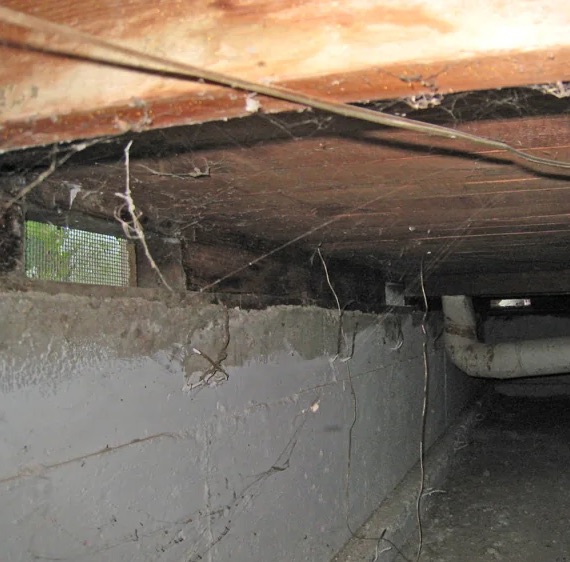 Crawlspace Water Damage Cleanup in Tacoma, WA