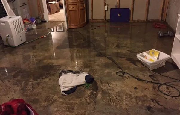 Emergency Water Extraction in Tacoma, WA