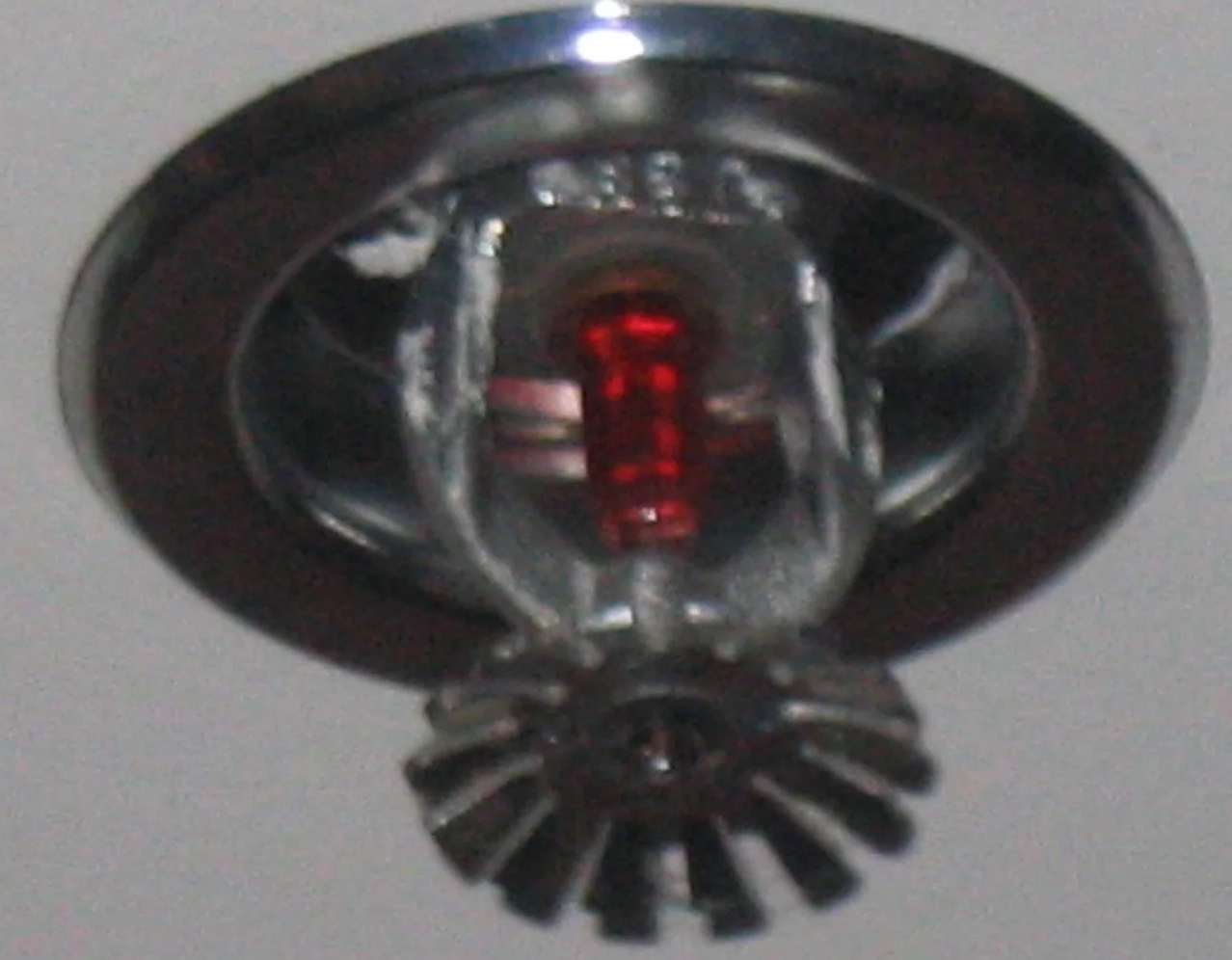 Sprinkler System Water Removal in Summit, WA