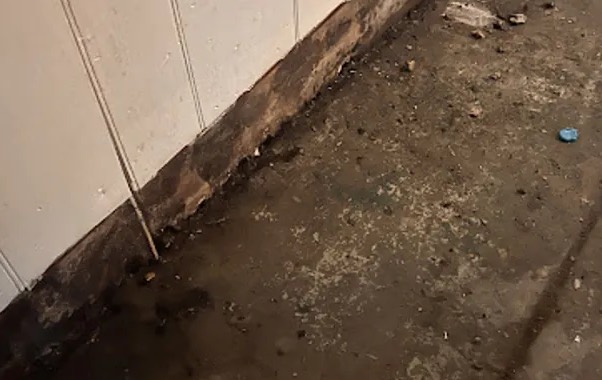 Hoarding Cleanup in Tacoma, WA