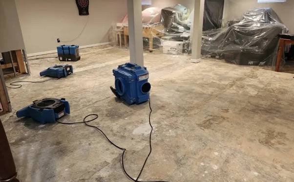 Deodorization Services in Tacoma, WA