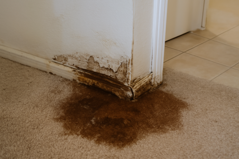 Slab Leak Water Removal